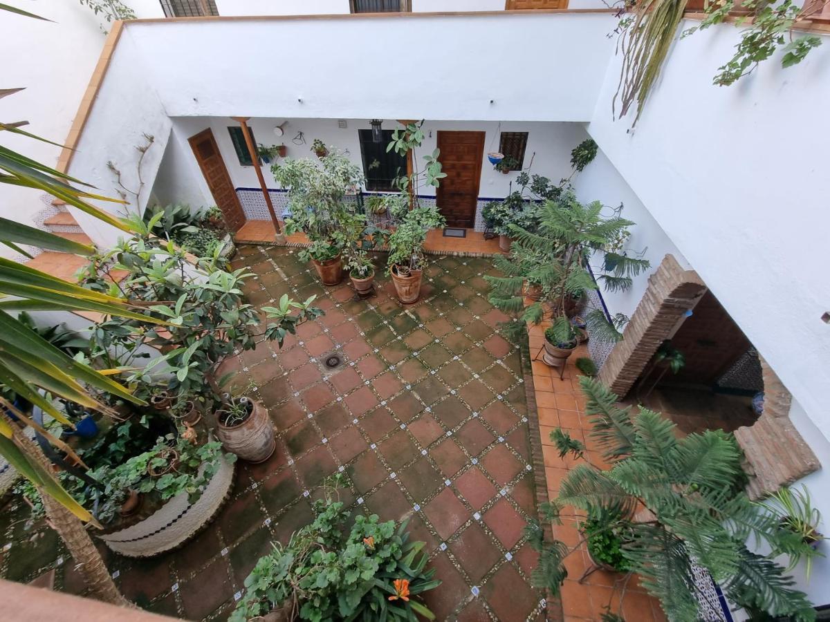 Apartamento De Estreno En Los Patios Tipicos De San Basilio コルドバ エクステリア 写真